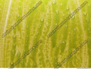 Photo Textures of Color Splatter